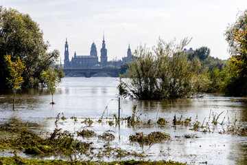 Hochwasser der Elbe in Dresden