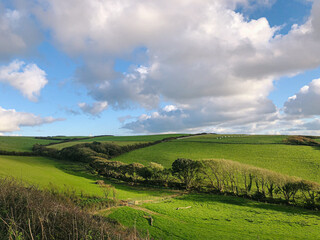 Naklejka premium farm landscape with green lush grass and fluffy clouds with blue sky