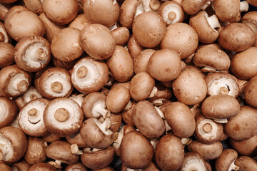 A close-up view of numerous fresh brown mushrooms, showcasing their smooth caps and earthy tones.