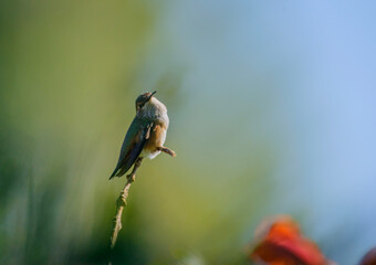 Looking Out for Trouble