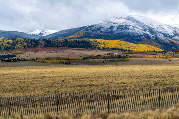 Naklejka premium First Autumn Snow and Changing Aspens in the Rockies