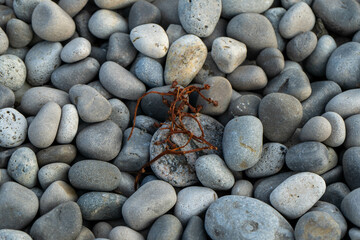 Processed collage of sea shore pebbles texture stone on the beach