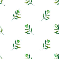 Botanical leaf. Simple seamless pattern of a plant painted with watercolor on a transparent background. For your design