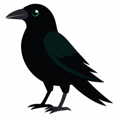 Stunning American Crow Vector Illustration High-Quality Graphics for Designers