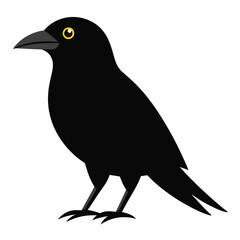 Stunning American Crow Vector Illustration High-Quality Graphics for Designers