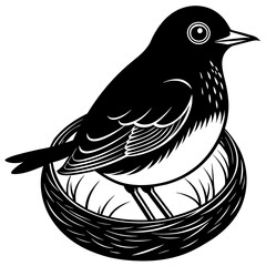 Black and White Robin Bird Sitting in Nest on White Background A Minimalist Nature Scene
