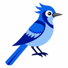 Stunning Blue Jay Vector Illustration Perfect for Nature Lovers and Designers