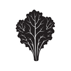 Kale Silhouette Vector Illustration | Organic Leafy Green Vegetable Clipart