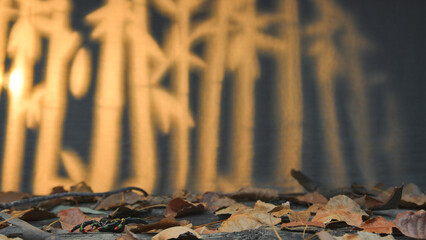  Background For Halloween With Copy Space and carpet of foliage