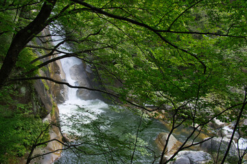 昇仙峡の仙娥滝