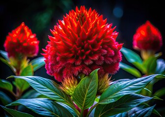 Vibrant Cockscomb Flower in Full Bloom Showcasing Brilliant Red and Green Petals in Nature