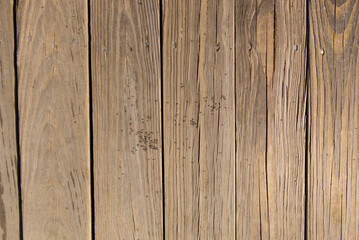A close-up of natural wooden planks with visible grain, small nails, and tiny beach ants scattered across the surface. Ideal for nature, texture, or design projects.