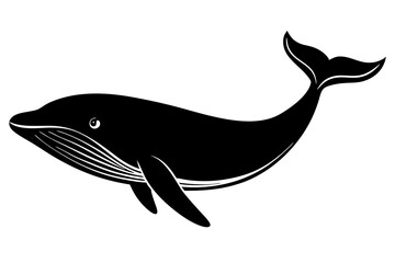 Blue Whale black silhouette vector image white background 