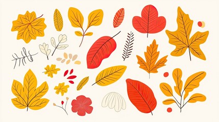 A collection of autumn leaves in various shapes and colors, including red, orange, yellow, and brown. The leaves are isolated on a white background.