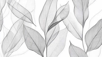 Fototapeta premium Abstract image of delicate, transparent leaves with veins visible against a white background.