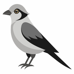 Beauty of Gray Jay High-Quality Vector Illustration