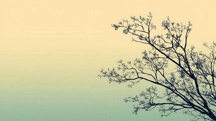 Fototapeta premium Serene Silhouette of Tree Branches on Pastel Sky Background