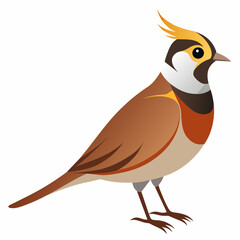 Stunning Horned Lark Vector Illustration Perfect for Nature Lovers