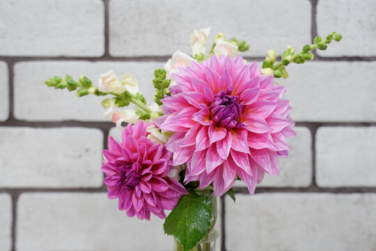 Floral bouquet. Pink dahlia flowers with white and pink snapdragons. White brick background.