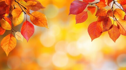 Fototapeta premium Vibrant autumn leaves with red, orange, and yellow hues against a bokeh background.