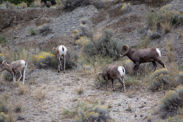Kamloops, British Columbia nature adventure 