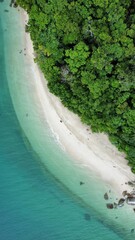 tropical island beach 