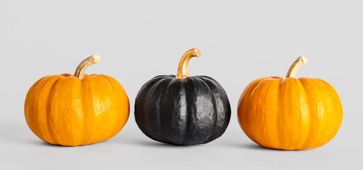 Painted pumpkins on white background
