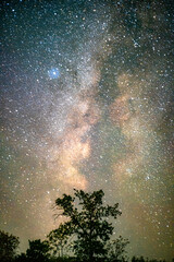 Space with galaxy . Milky way on the blue sky .Dark and cold night at summer . Trees on the...