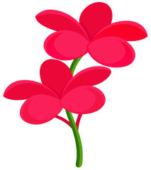 Tropical flowers. Two Plumeria. Red. 
