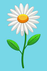 White Daisy Flower Vibrant Yellow Center Green






