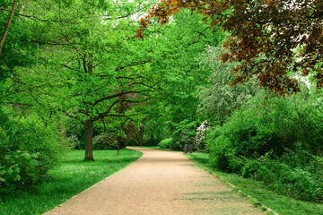 View of beautiful park with alley and green trees