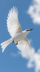 Obraz premium Bare-throated Bellbird Flying in Nature under Blue Sky, Photo Realistic, Wallpaper, Cover and Screen for Smartphone, PC, Laptop, 9:16 and 16:9 Format