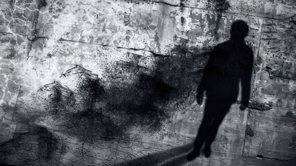 Obraz premium A comparison of shadows as a symbolic representation of hidden fears, showcasing their impact on the mind.