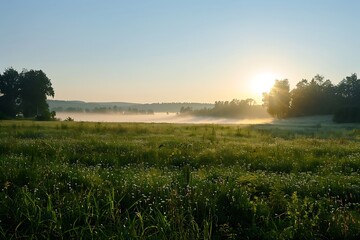 Fototapeta premium Landscape, sunny dawn in a field. Sunset over the sea.