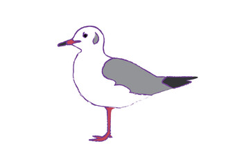 ゆりかもめのイラスト