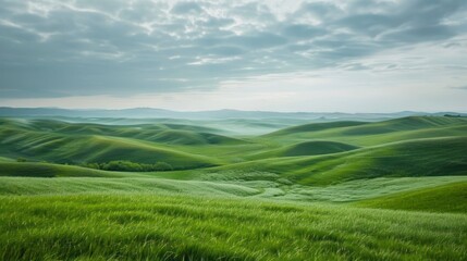 Fototapeta premium A peaceful landscape of rolling green hills under a soft, cloudy sky, with a sense of calm and quiet