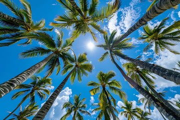 Fototapeta premium Coconut palm trees with blue sky background. Summer vacation concept