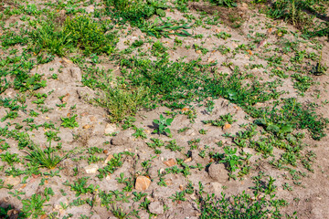 Rocky ground on the surface of the earth overgrown with grass
