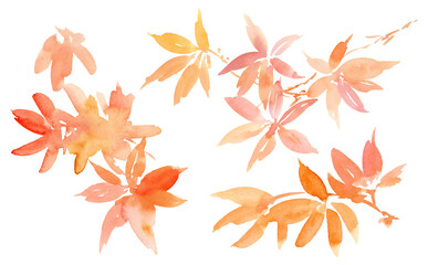A set of abstract autumn leaves illustrations in watercolor with transparent backgrounds