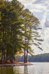 Vertical image of beautiful lake on a sunny summer day in Georgia USA