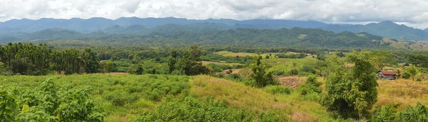 Obraz premium panorama landscape of field in the countryside