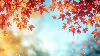 Fototapeta premium Serene Autumn Symphony: Vibrant Maple Leaves Drifting in Warm Sunlight, Embracing the Tranquil Beauty of Nature.