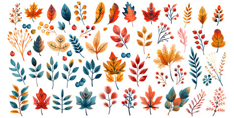 set of autumn leaves on white background