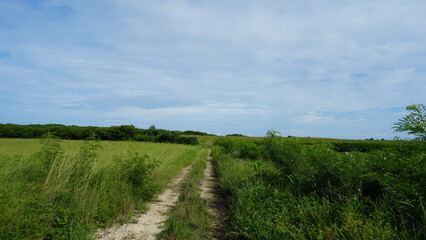 馬鼻岬へ向かう農道