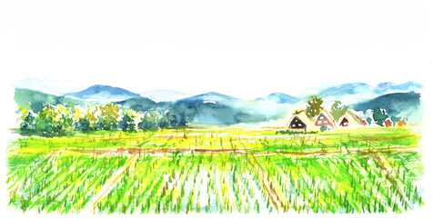 水彩で描いた田舎の田んぼの風景