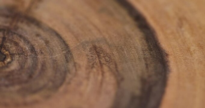 polished walnut surface with annual rings, part of a wooden board made of walnut wood