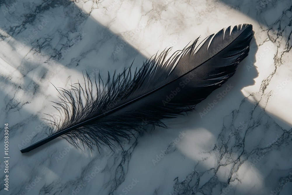 Poster a large black feather resting on a marble surface, illuminated by soft sunlight streaming through a 