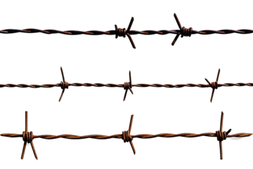 Barbed wire isolated on white background 