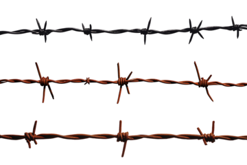 Barbed wire fence isolated on white background 