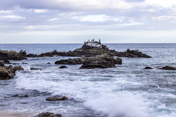 Cloudy sunset and birds on a rocky beach in Los Cabos, Baja California Sur, Mexico.